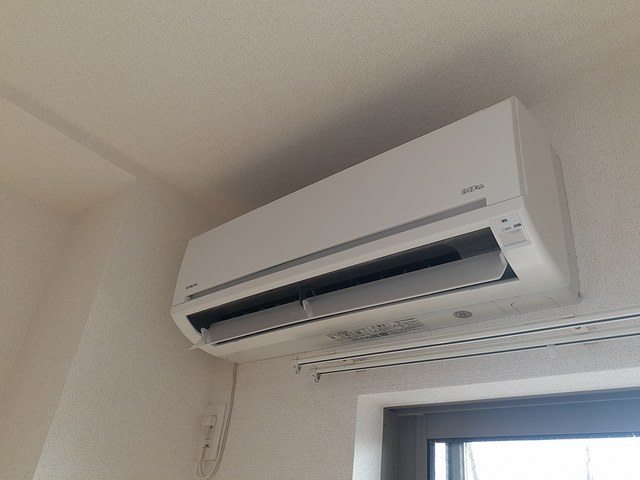 フェリス　ウラタ その他3