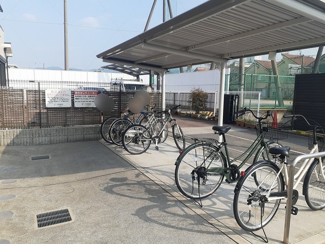 フェリス　ウラタ その他6