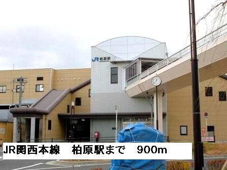 セレノ　アロッジオⅦ その他外観1