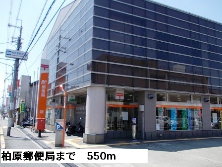 セレノ　アロッジオⅦ その他外観6