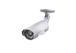 シトラス・Ｔ その他5