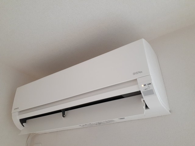 ミディ その他1