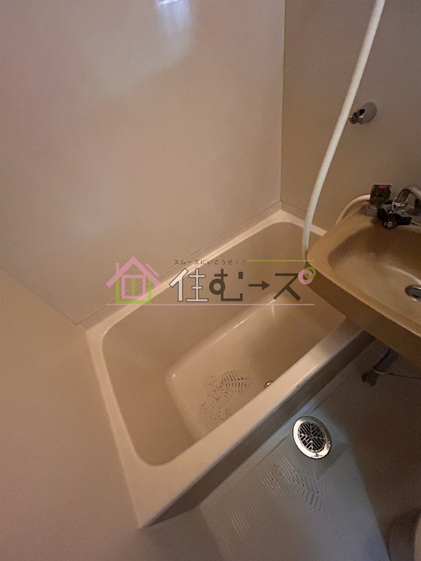 白樺ハイツ清水Ⅱ 風呂画像