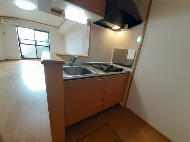 カーサ・エル・タカミヤ キッチン