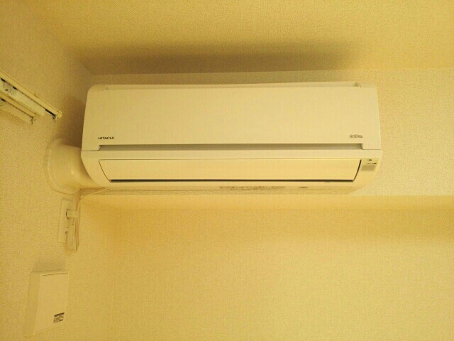 クリサンテーム　トキ その他6