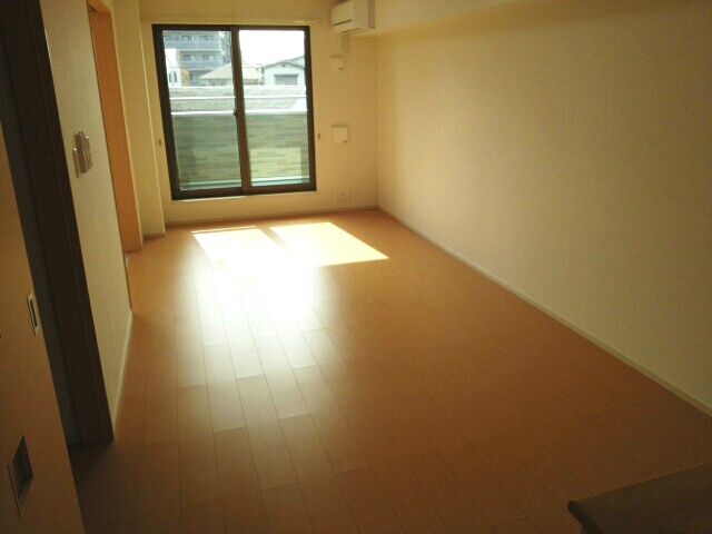 クリサンテーム　トキ リビング