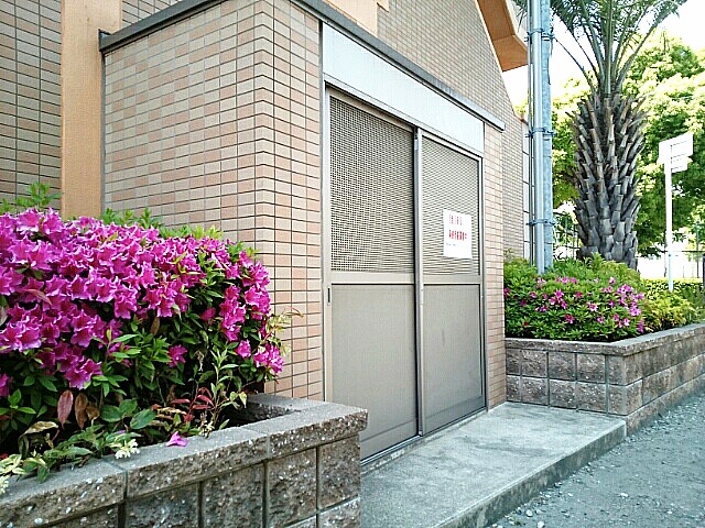 セレンディピティ　Ｏ・Ｖ その他6