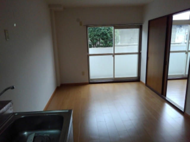 サンヒルズ千代田Ⅰ リビング