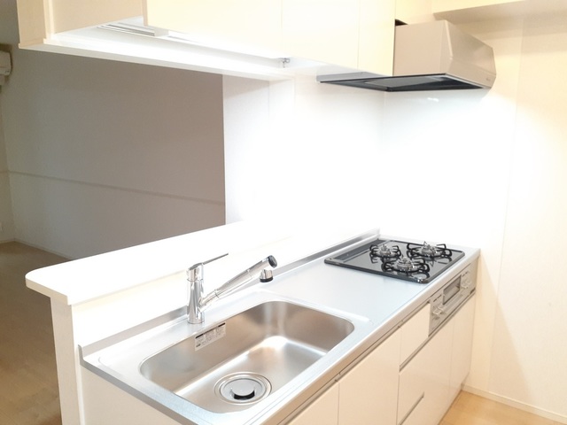 ヴィアーレⅠ キッチン