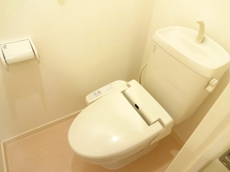 プラシード その他4