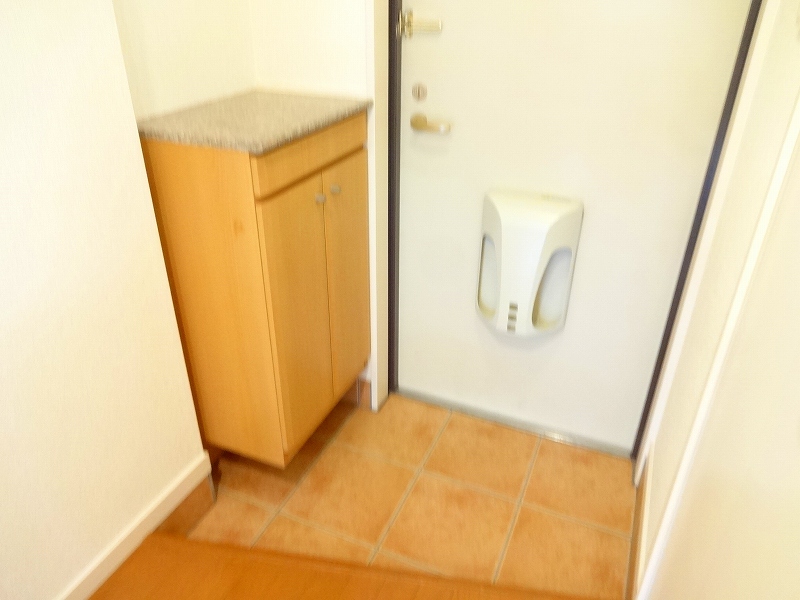 プラシード 玄関