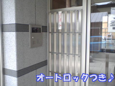 リーヴァ　神石 その他2