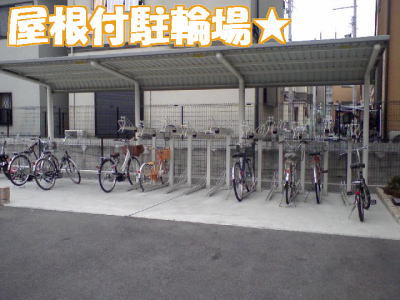 リーヴァ　神石 その他4