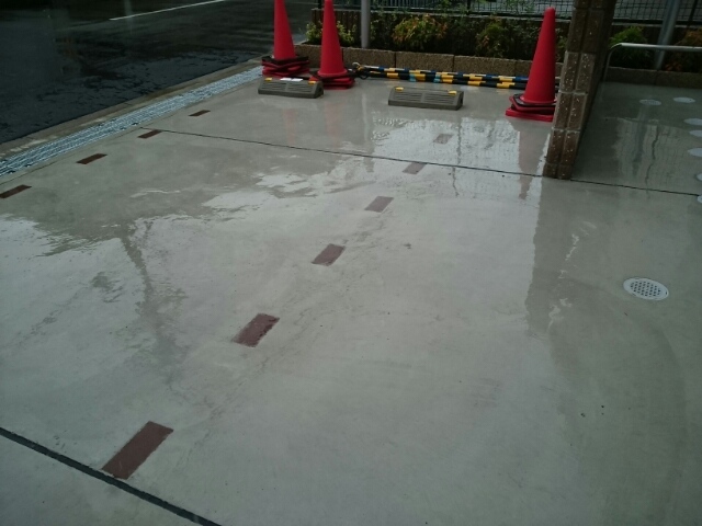 フレグラント　オリーブ その他8