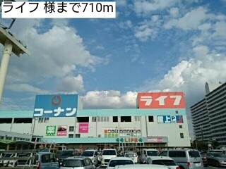 ロチェス　ドール その他外観4