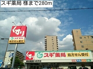 ロチェス　ドール その他外観5