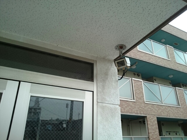 フォレスト　フィールド その他6