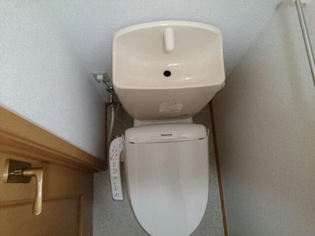 アクティブフロッグ その他5