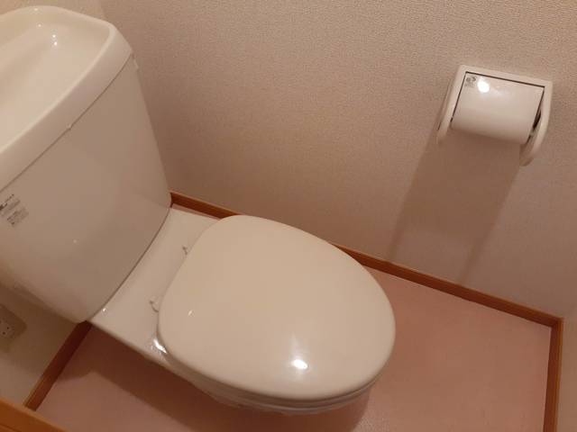 サングレイスⅡ その他5