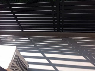 レオネクストリバーサイドⅡ その他16