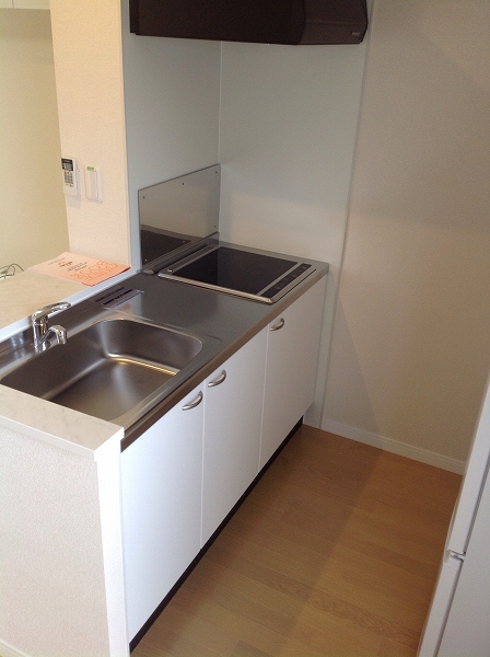 レオネクストリバーサイドⅡ キッチン