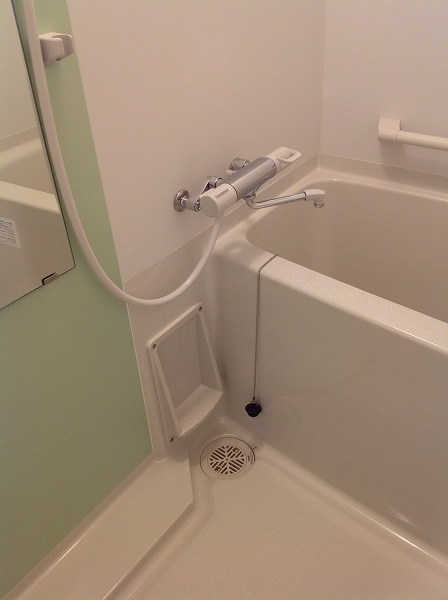 レオネクストリバーサイドⅡ 風呂画像