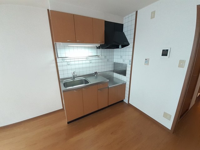 フェリース その他1