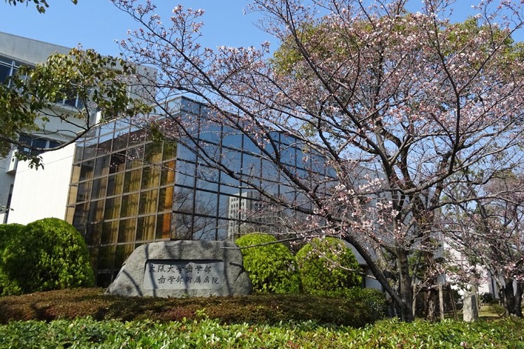 セレニティ豊川A棟 周辺画像10