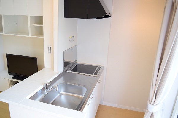 レオネクストルーナ その他9