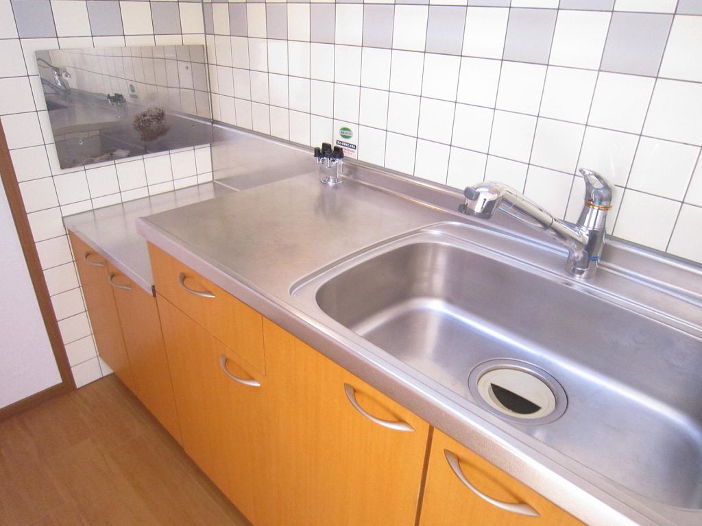 ヌエボ その他3