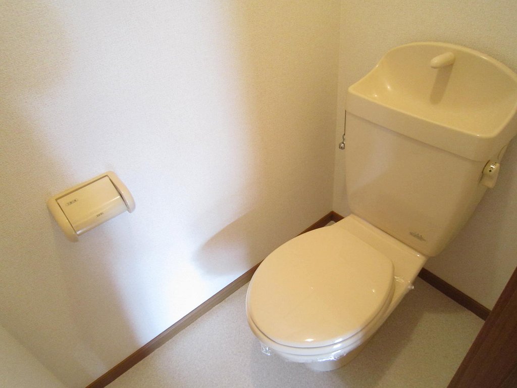 ヌエボ その他4