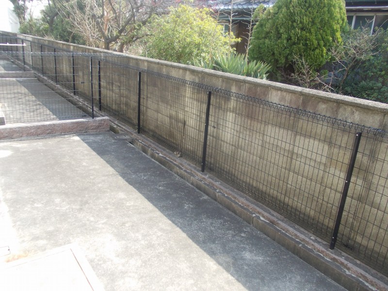 ビバ・ユズ その他6