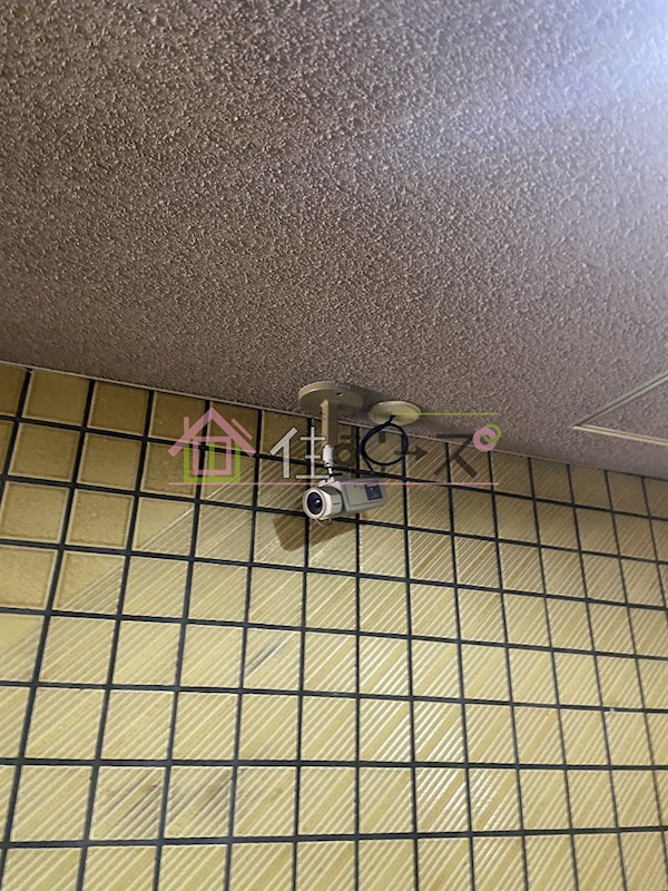 レディースダイテツ その他外観4