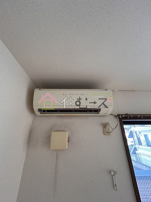 ローズ・メイ その他2