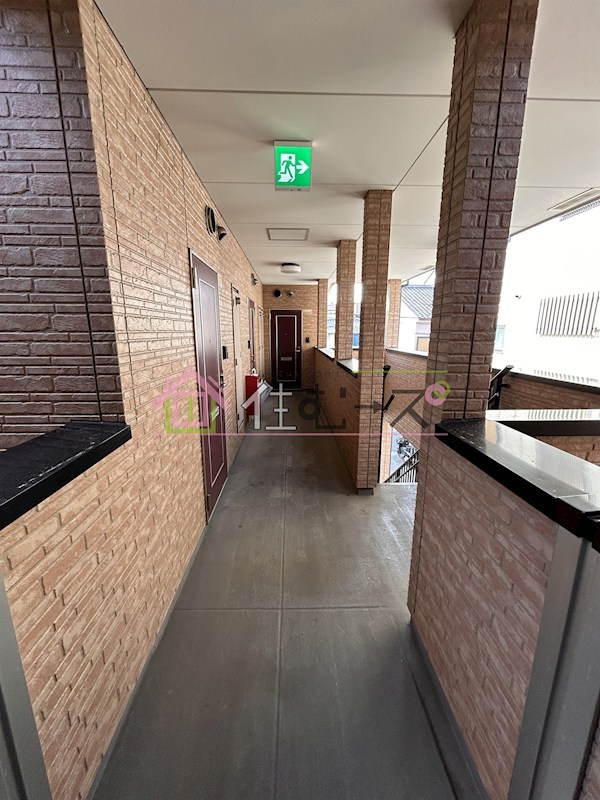 ローズ・メイ その他外観6