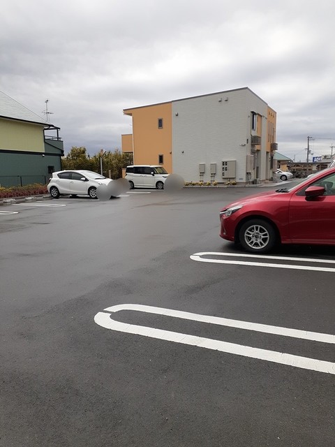 カンファーツリーＡ その他5