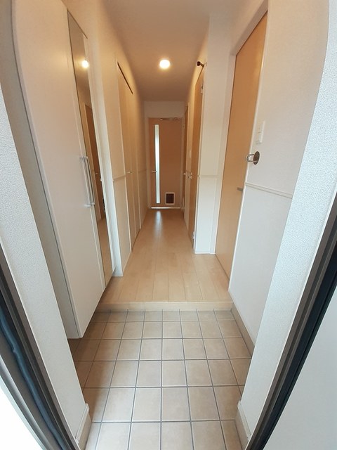 カンファーツリーＡ 玄関