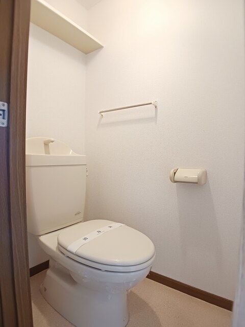 ヴィヴィッド その他2