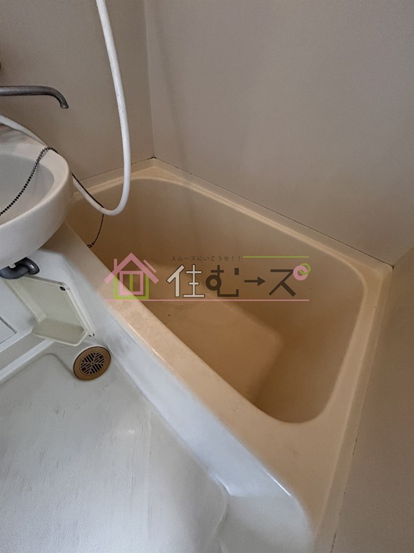 ロイヤルヤマト岸里 風呂画像