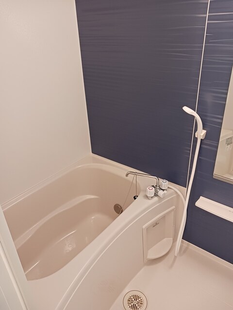 アメリ　ドヴァン　ラ　ガール 風呂画像