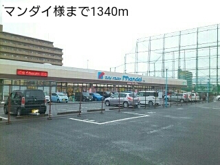 ポプルス　Ｙ その他外観5