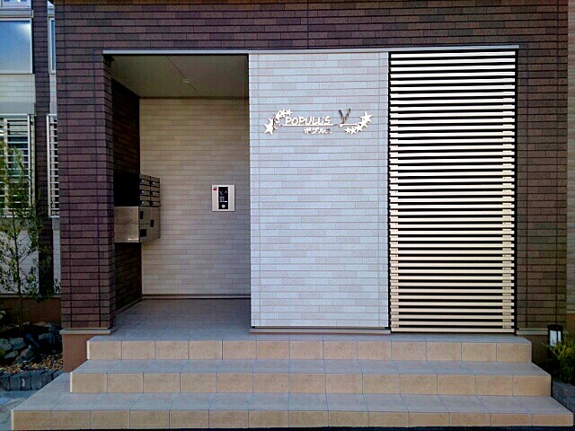 ポプルス　Ｙ その他11