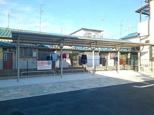 ポプルス　Ｙ その他12