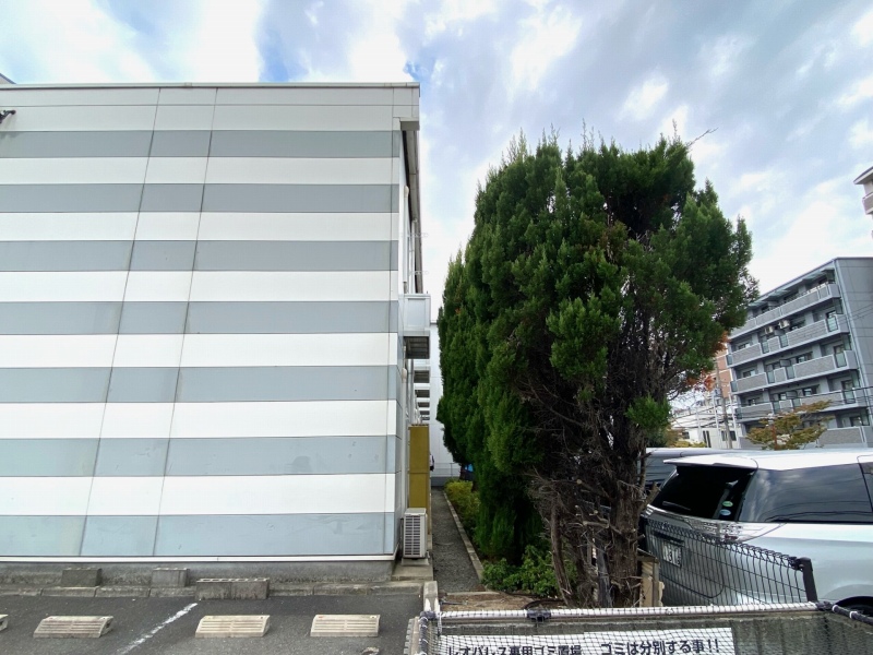 レオパレス橋Ⅱ その他3