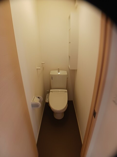 セントーレア その他3