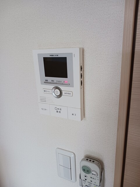 セントーレア その他5