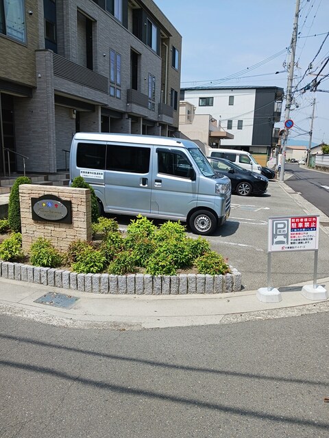 セントーレア その他6