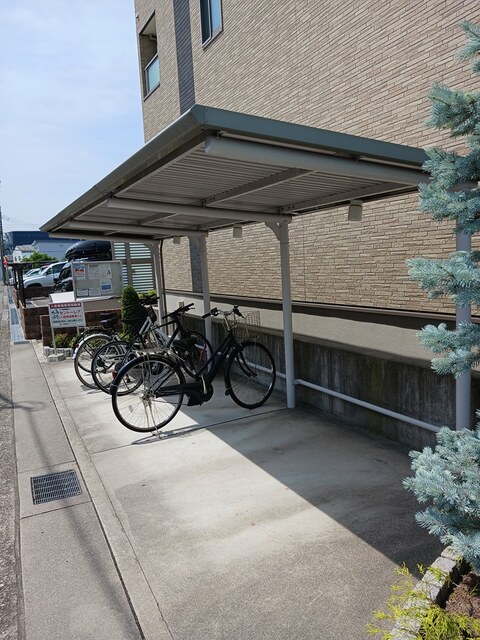 セントーレア その他7