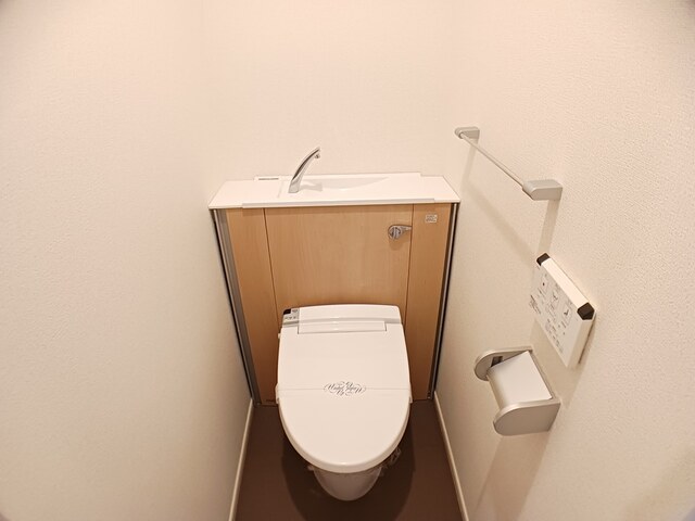 パーシモン その他2