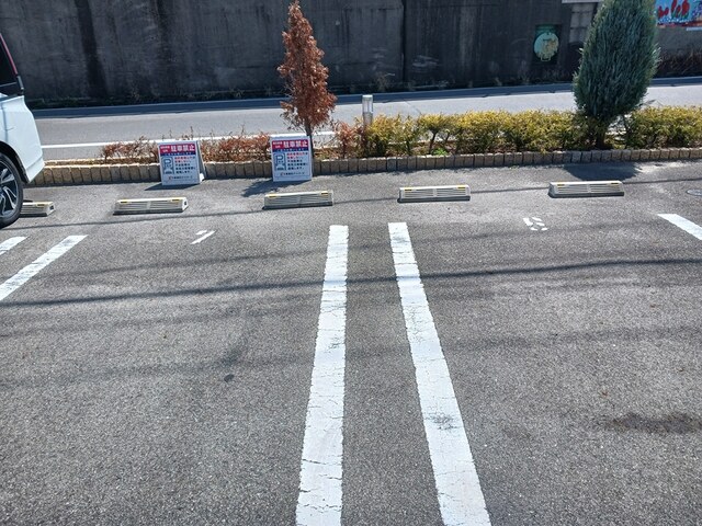 パーシモン その他6